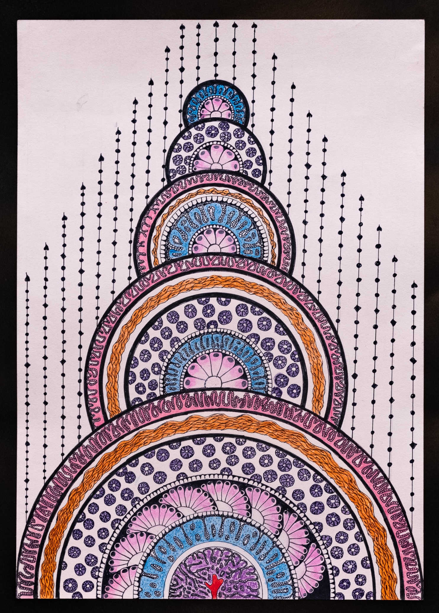 ‘Mandela of Bowel’ by Dr Aparekka Liyanagamage Sihani Pramoda