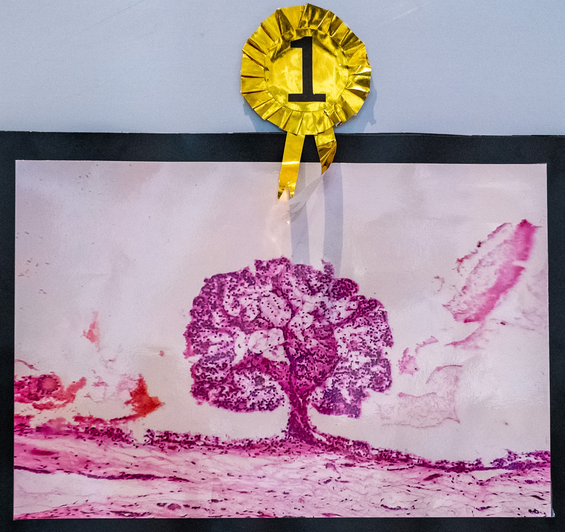First Place: ‘The Deceptive Tree’ by Dr Lalani Jayamali De Silva